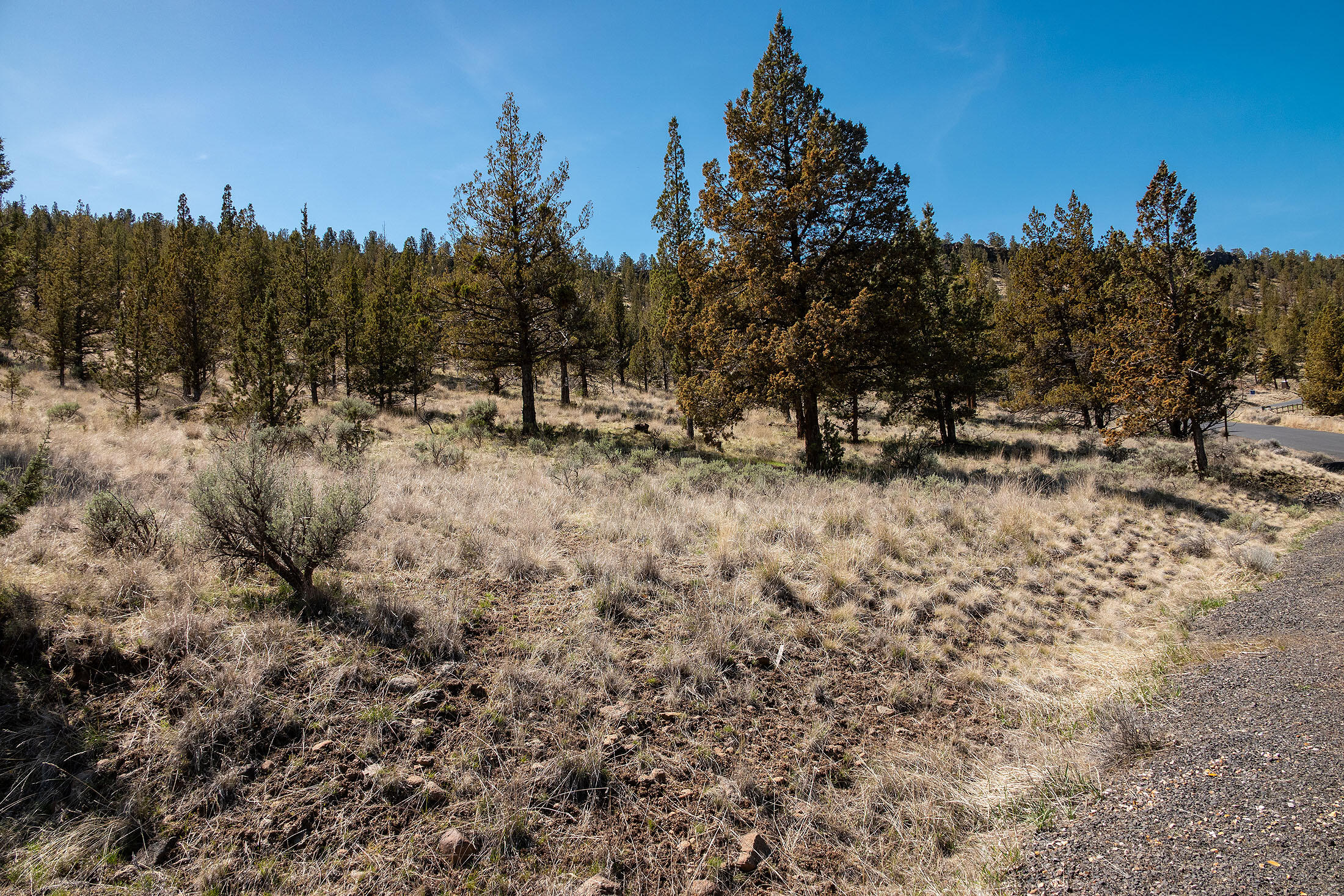 Crescent Rim Estates - Land