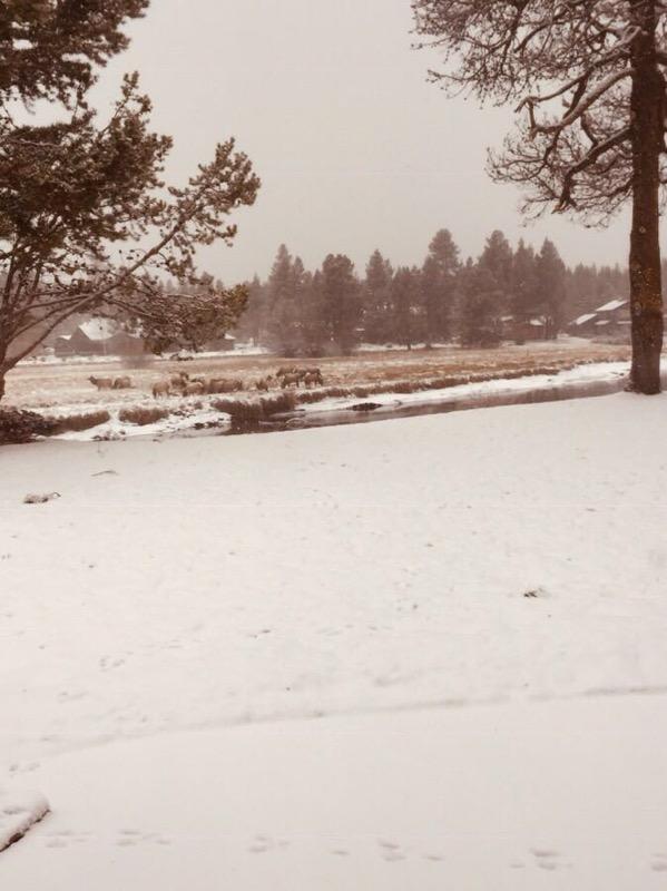 Blissful Acres - Residential