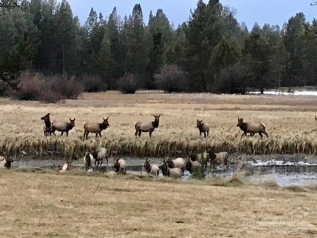 Blissful Acres - Residential