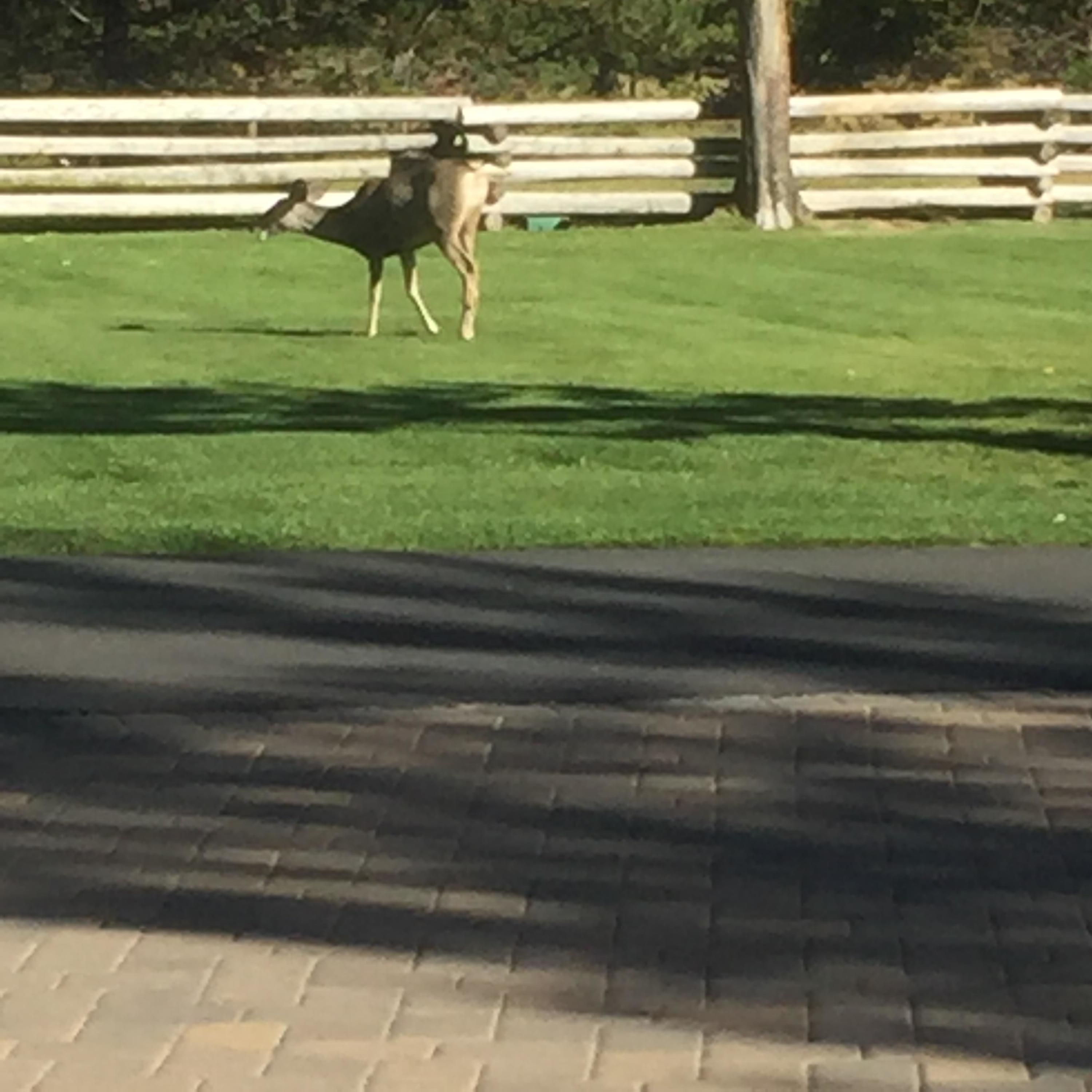 Blissful Acres - Residential