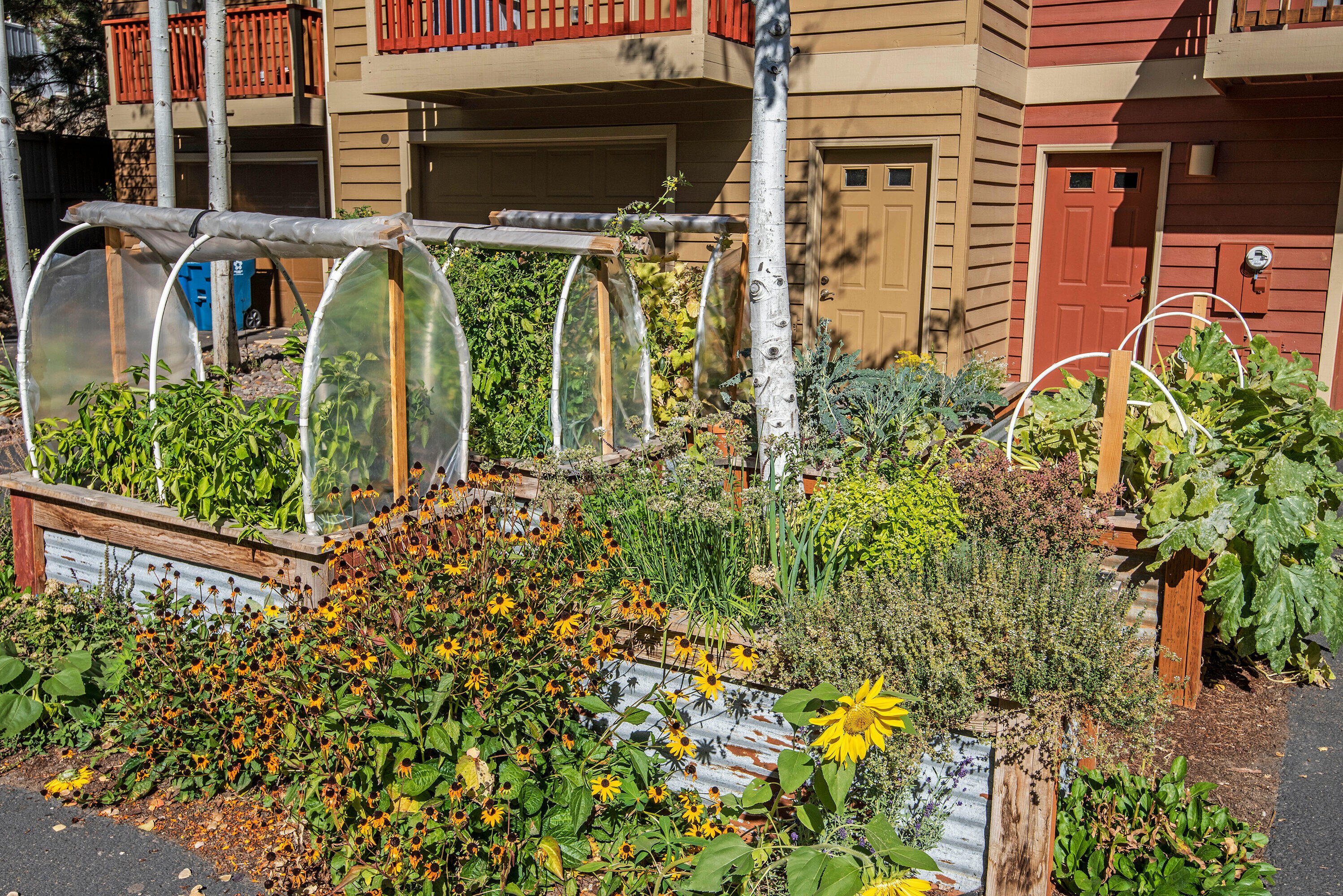 Pence Place - Residential