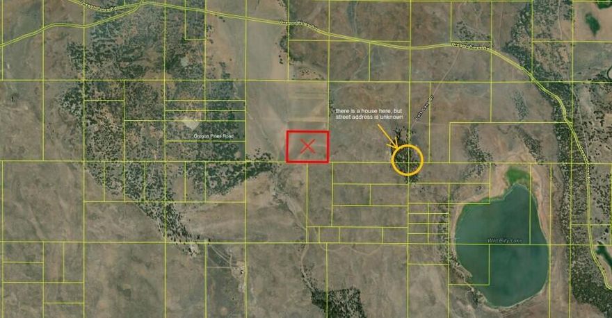 30 acres of pasture and grazing property. This property is located within 10 miles of the small communities of Beatty and Bly. This sub-irrigated acreage has very good feed growing on it for animals. Buyers to do their own due diligence with Klamath County for use of the property. Don't let this one get away.