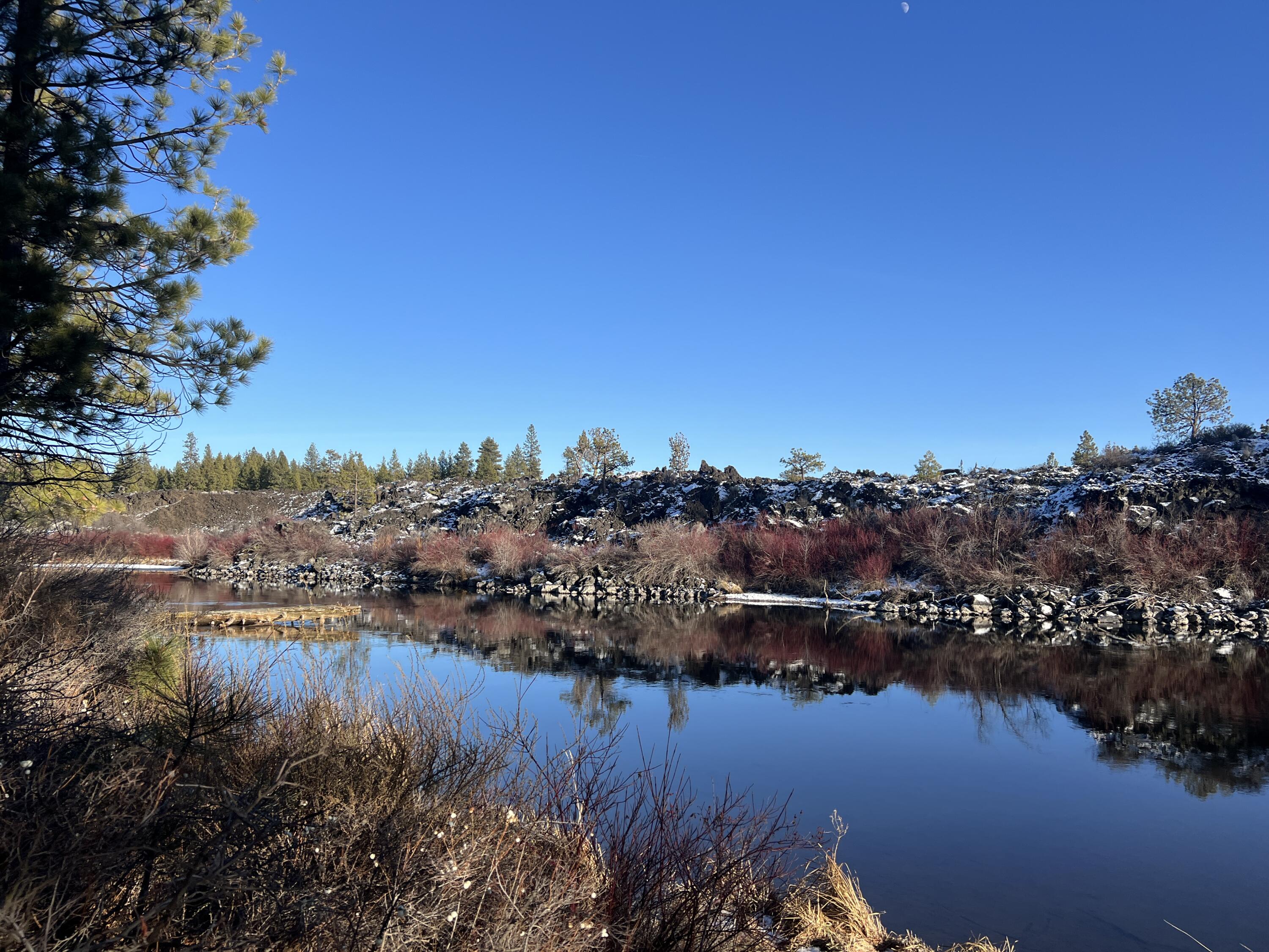 18575 SW Century Drive # 1233