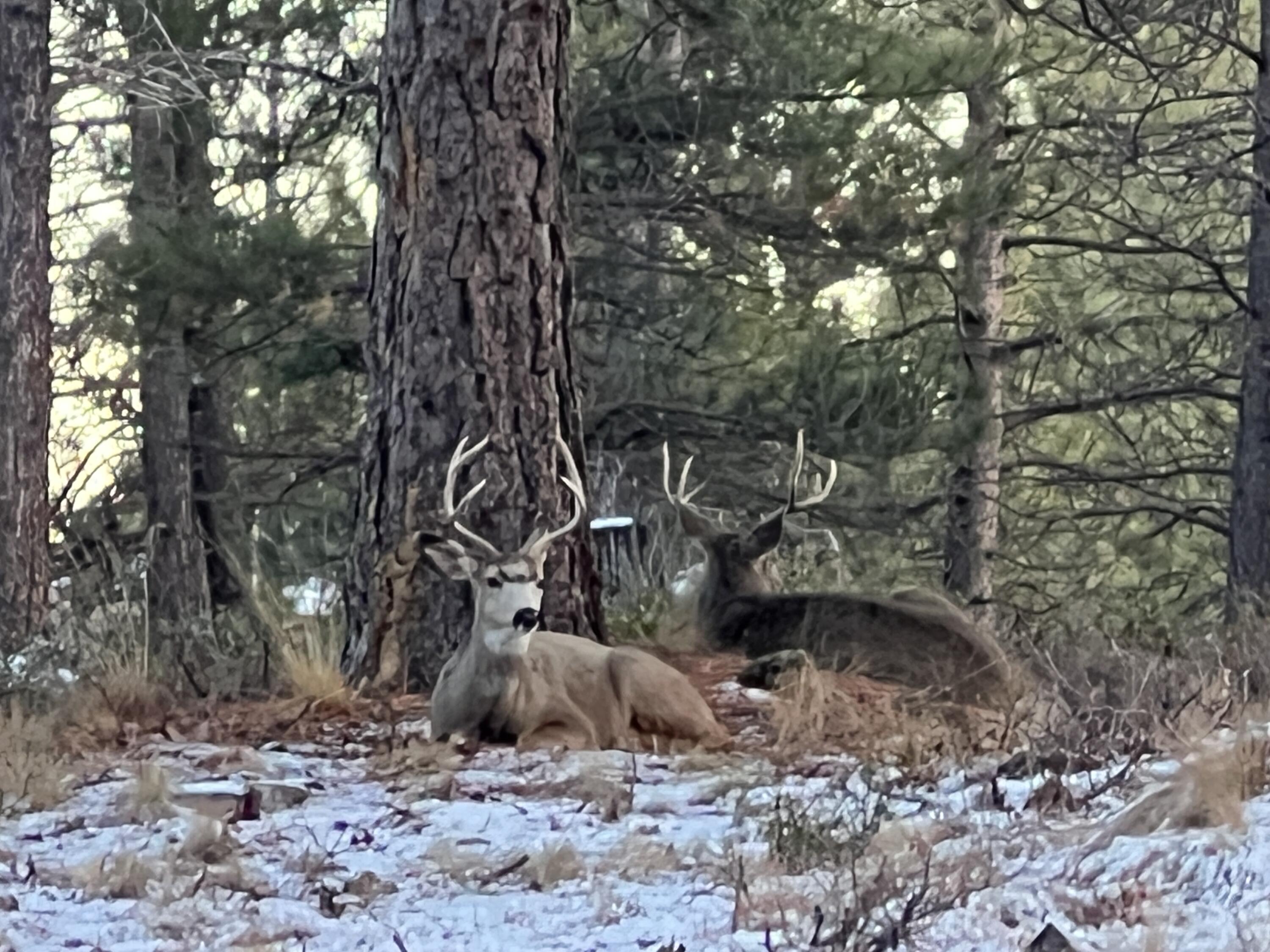 18575 SW Century Drive # 1233