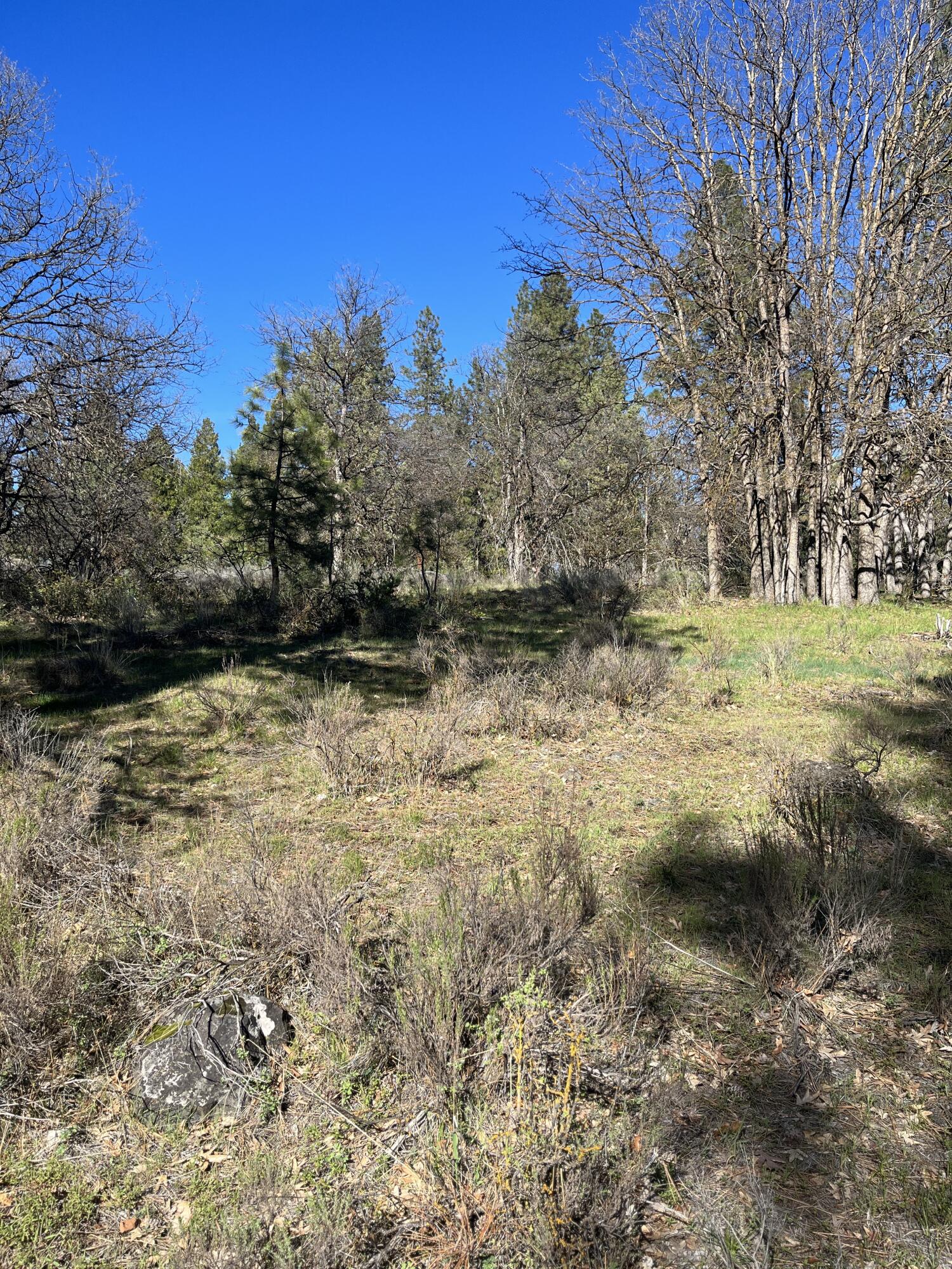 Running YResort - Land