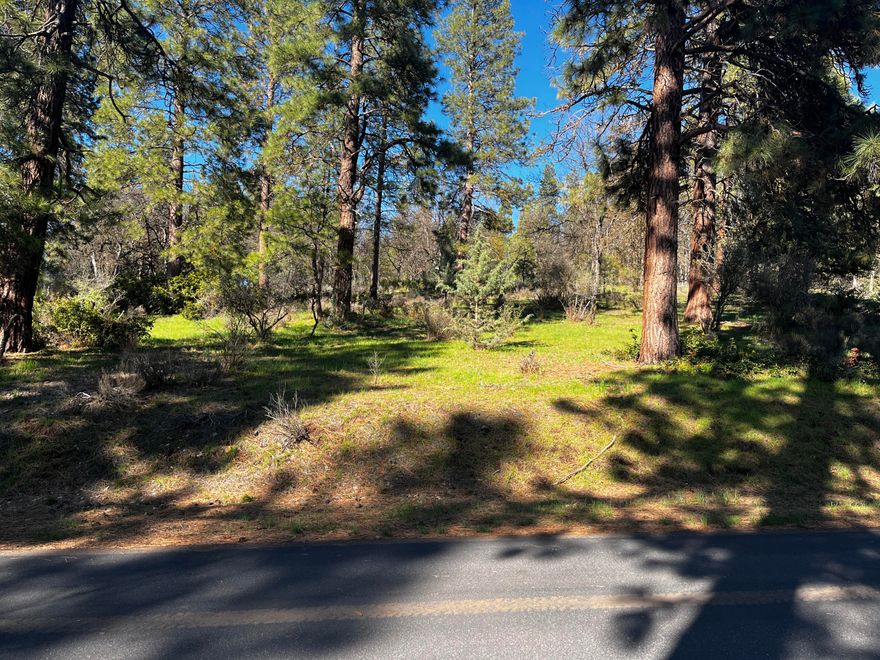 Enjoy living on the famous Arnold Palmer golf course at the Running Y.  Over .5 acre, this very private home site offers both mountain and course views.  The rear elevation is above the road and below the 7th tee box, and #6 green.offering afternoon shade and morning sun.  Front elevation faces south, with mountain, pasture and sunset views. The site boast mature oaks and pines, the perfect setting for your golf course home. HOA dues include membership in the Sport and Fitness Center which includes indoor pool, sports courts and gym.  Purchase your land now and start planning for your dream home.  Running Y is a great place to live, offering a community plus resort lifestyle!