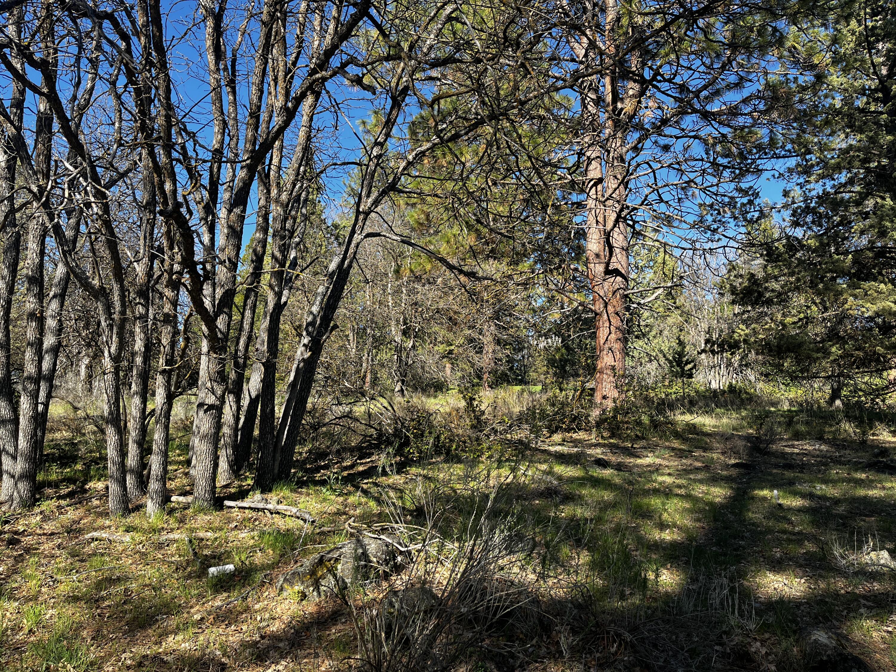 Running YResort - Land