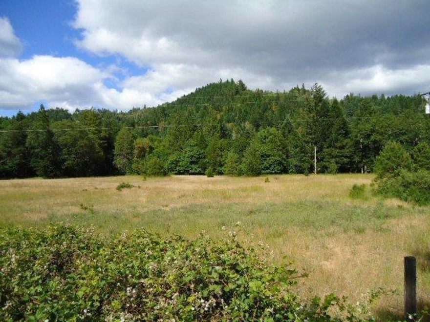 Bring you plans and dreams of a new home on this beautiful, level homesite on 3 acres with scattered trees, and frontage on Thompson Creek, just a bout a mile past Lake Selmac in rural Southern Oregon. Power is available and it's been approved for a septic.