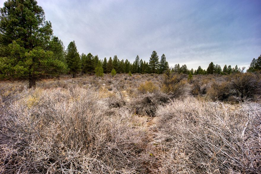 1.02 acre lot in Pine Ridge Estates. Enjoy deeded access to the famous Williamson River. Nice level lot surrounded by established pines, 5 minutes from Chiloquin and 30 minutes from Klamath Falls. Owner financing available with suitable terms.