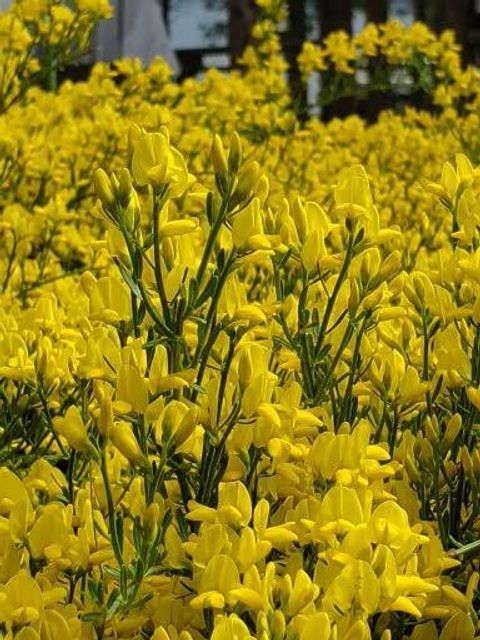 Tiny photo for 14741 N Sugar Pine Way, La Pine, OR 97739 (MLS # 220216563)