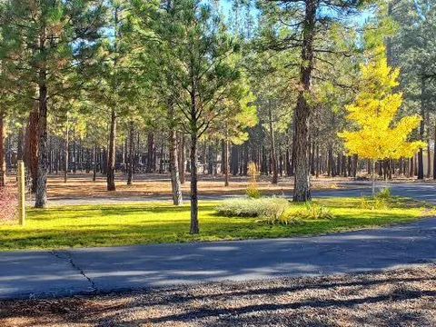 Tiny photo for 14741 N Sugar Pine Way, La Pine, OR 97739 (MLS # 220216563)