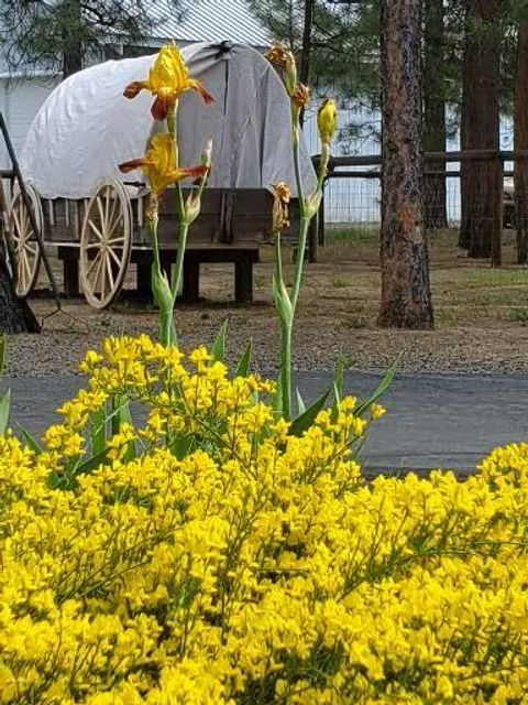 Tiny photo for 14741 N Sugar Pine Way, La Pine, OR 97739 (MLS # 220216563)