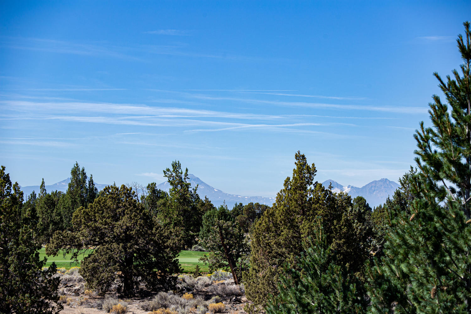 Pronghorn - Residential