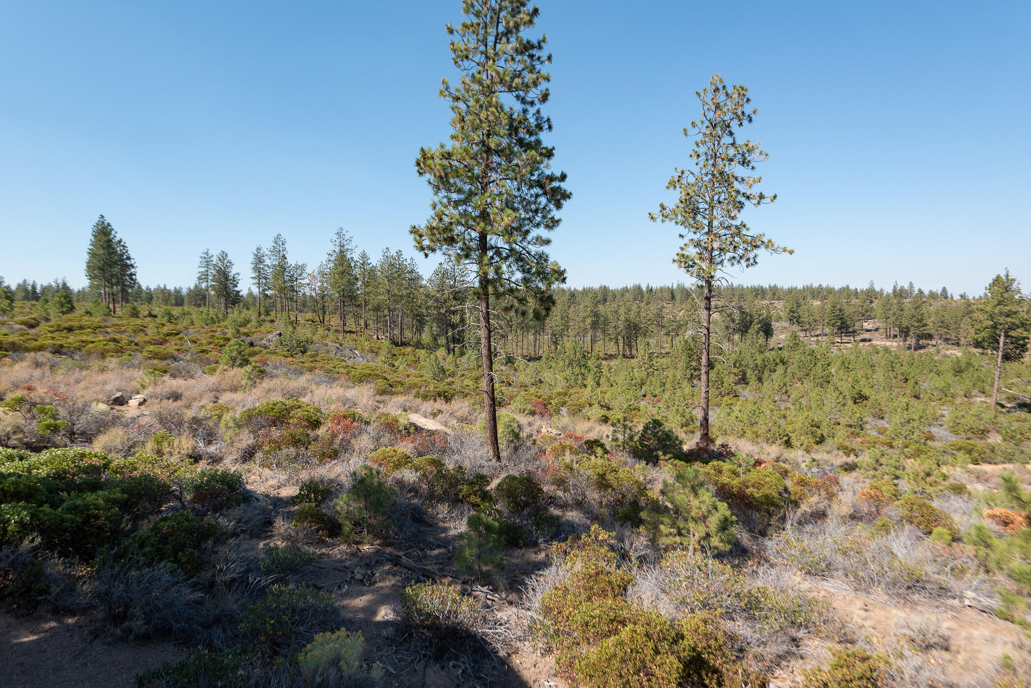 Tetherow - Residential