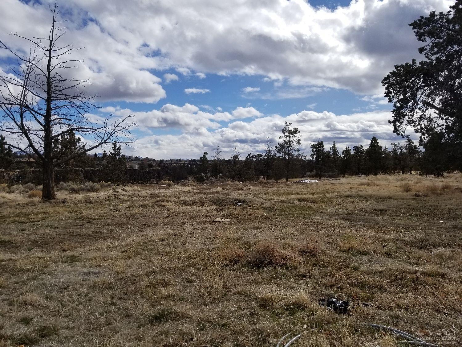 McKenzie Rim Estates - Land