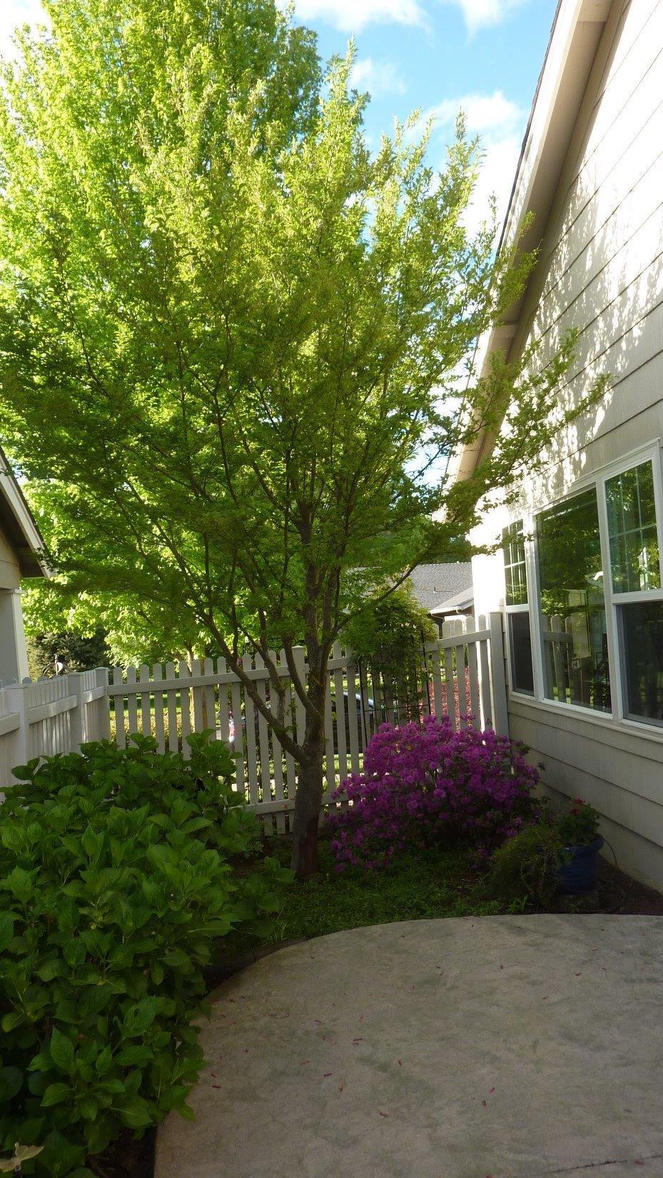 Hidden Springs - Residential