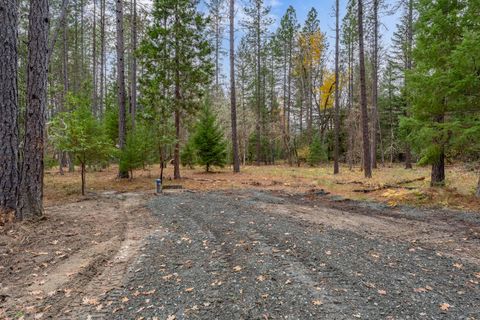 Tiny photo for 1740 Pleasant Creek Road, Rogue River, OR 97537 (MLS # 220212225)