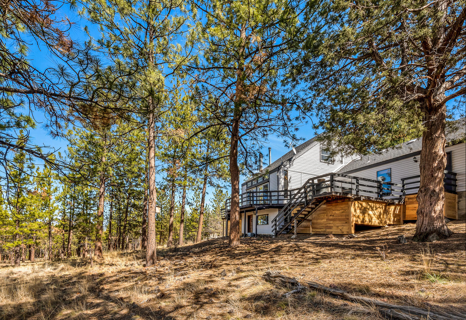 Saddleback - Residential