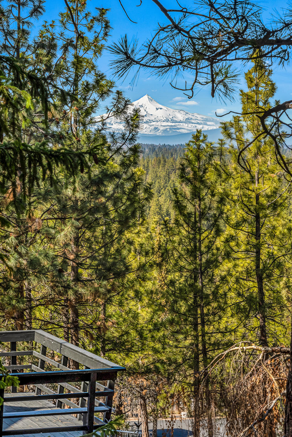 Saddleback - Residential