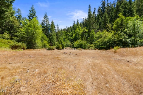 Tiny photo for 13245 Caves Highway, Cave Junction, OR 97523 (MLS # 220225867)