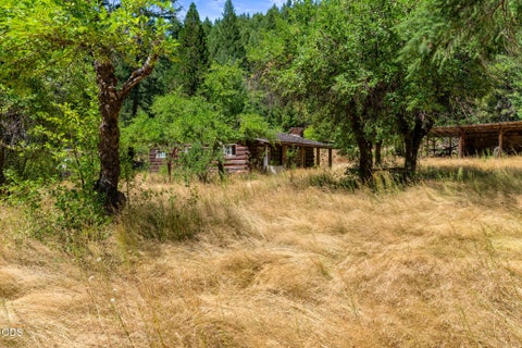 Tiny photo for 13245 Caves Highway, Cave Junction, OR 97523 (MLS # 220225867)