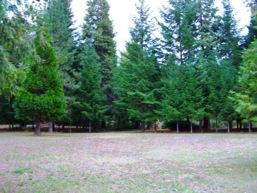 Wooded country setting ready for your dream home. Seasonal Creek, well, septic. Current mobile belongs to tenant.