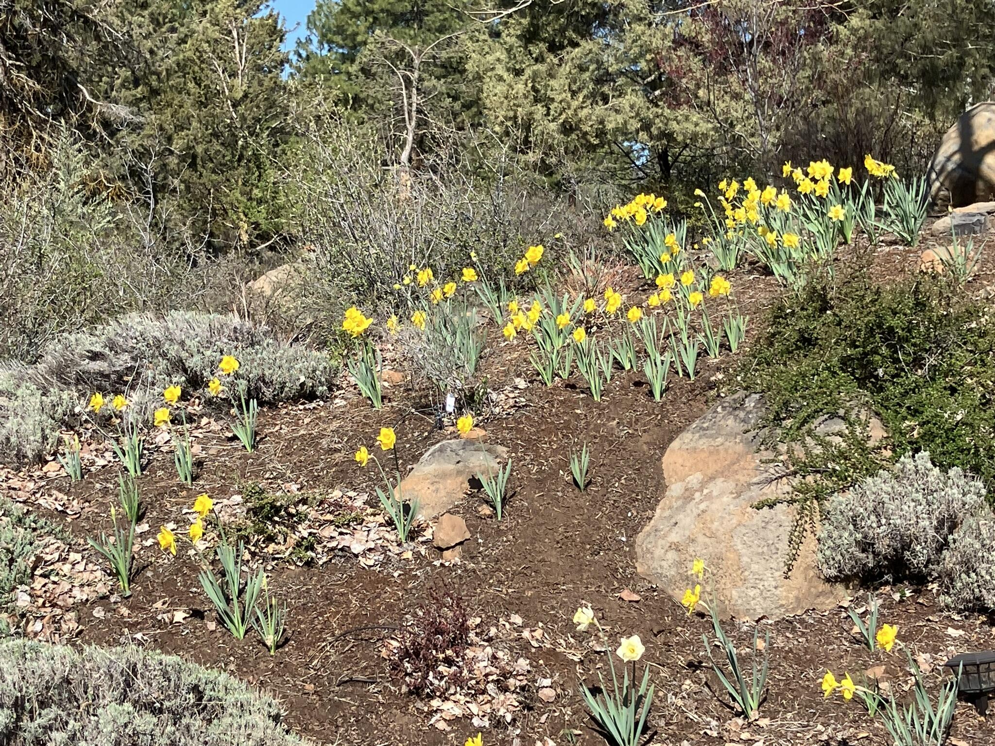 Running YResort - Residential