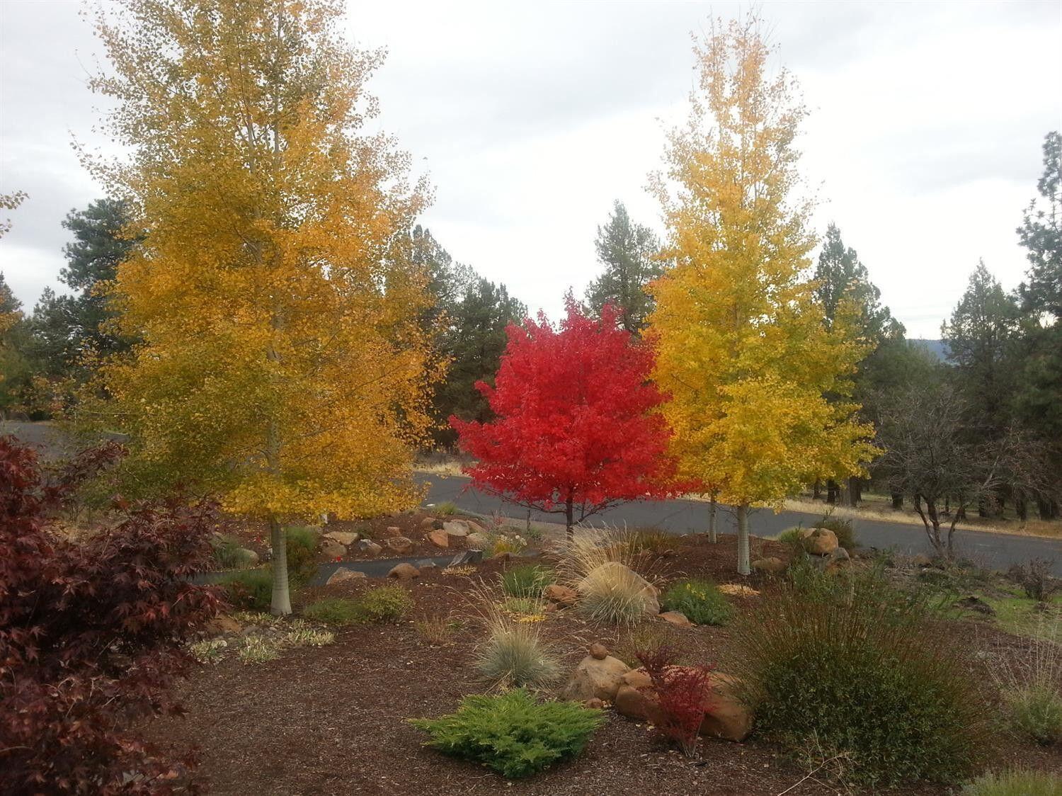 Running YResort - Residential