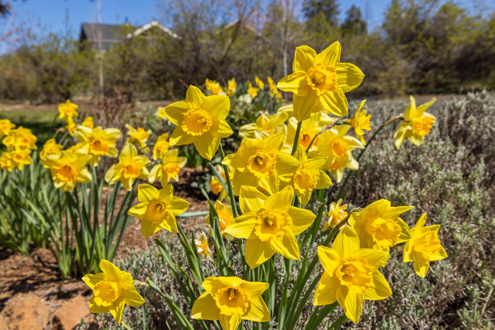 Running YResort - Residential