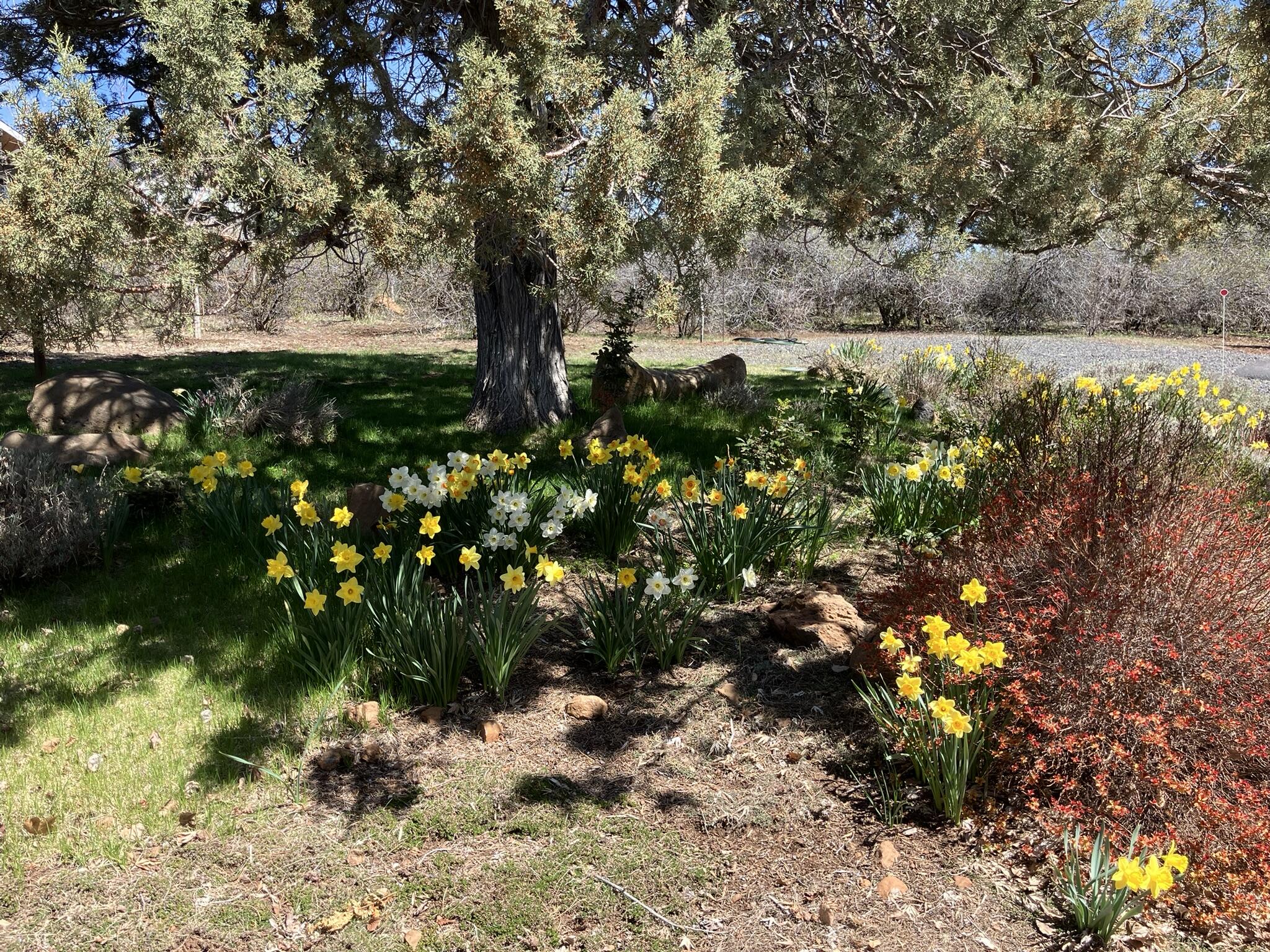 Running YResort - Residential