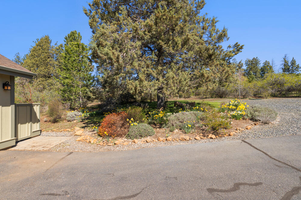 Running YResort - Residential