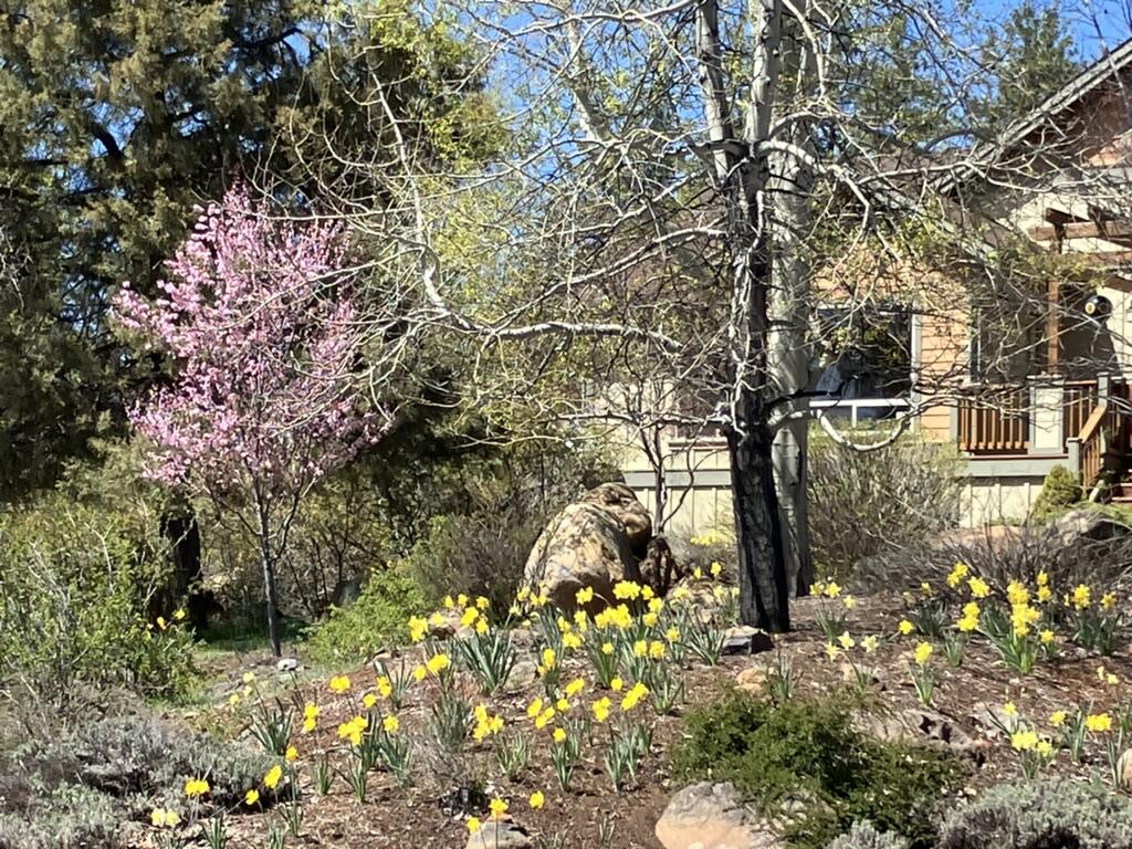 Running YResort - Residential