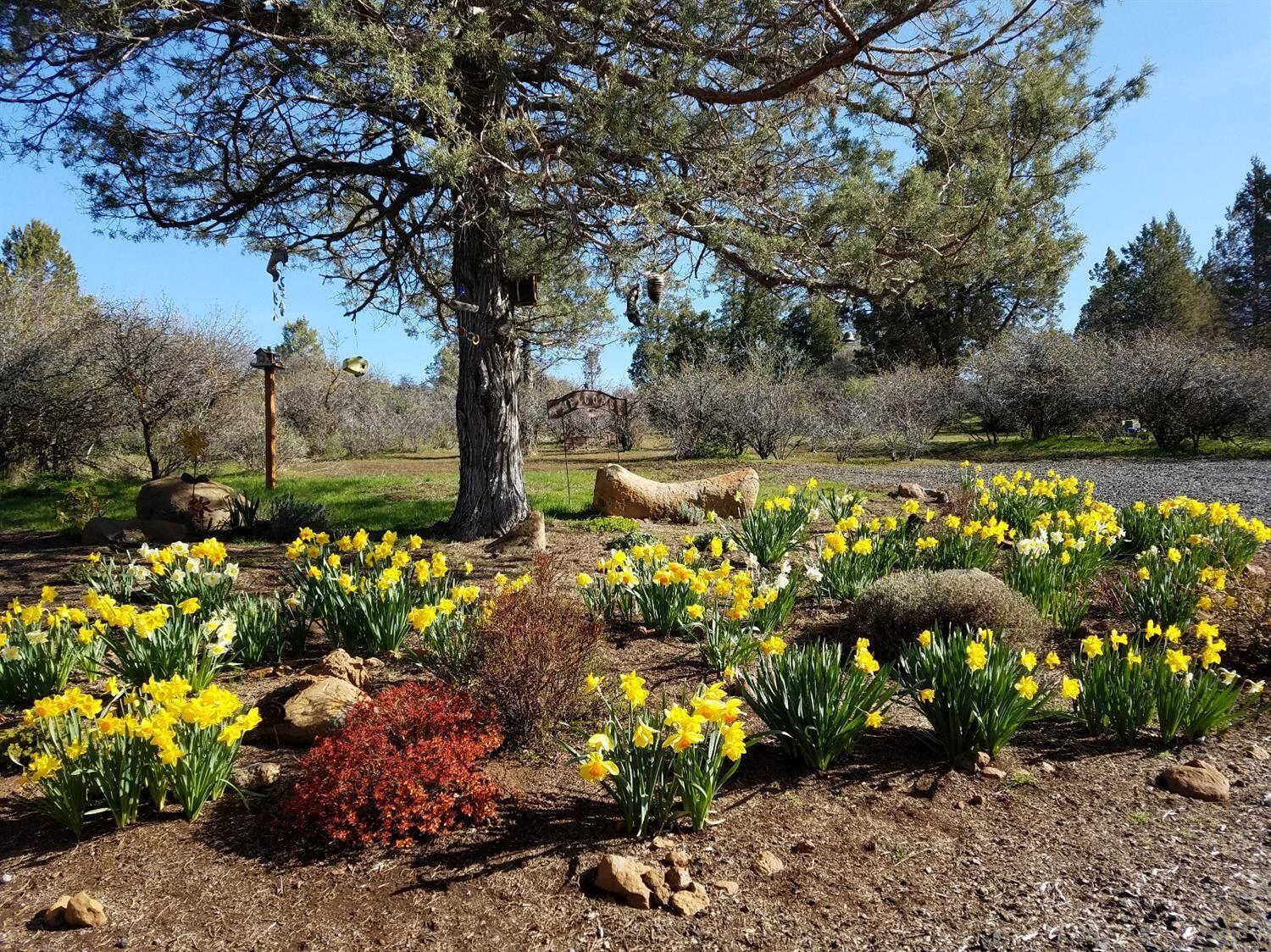 Running YResort - Residential