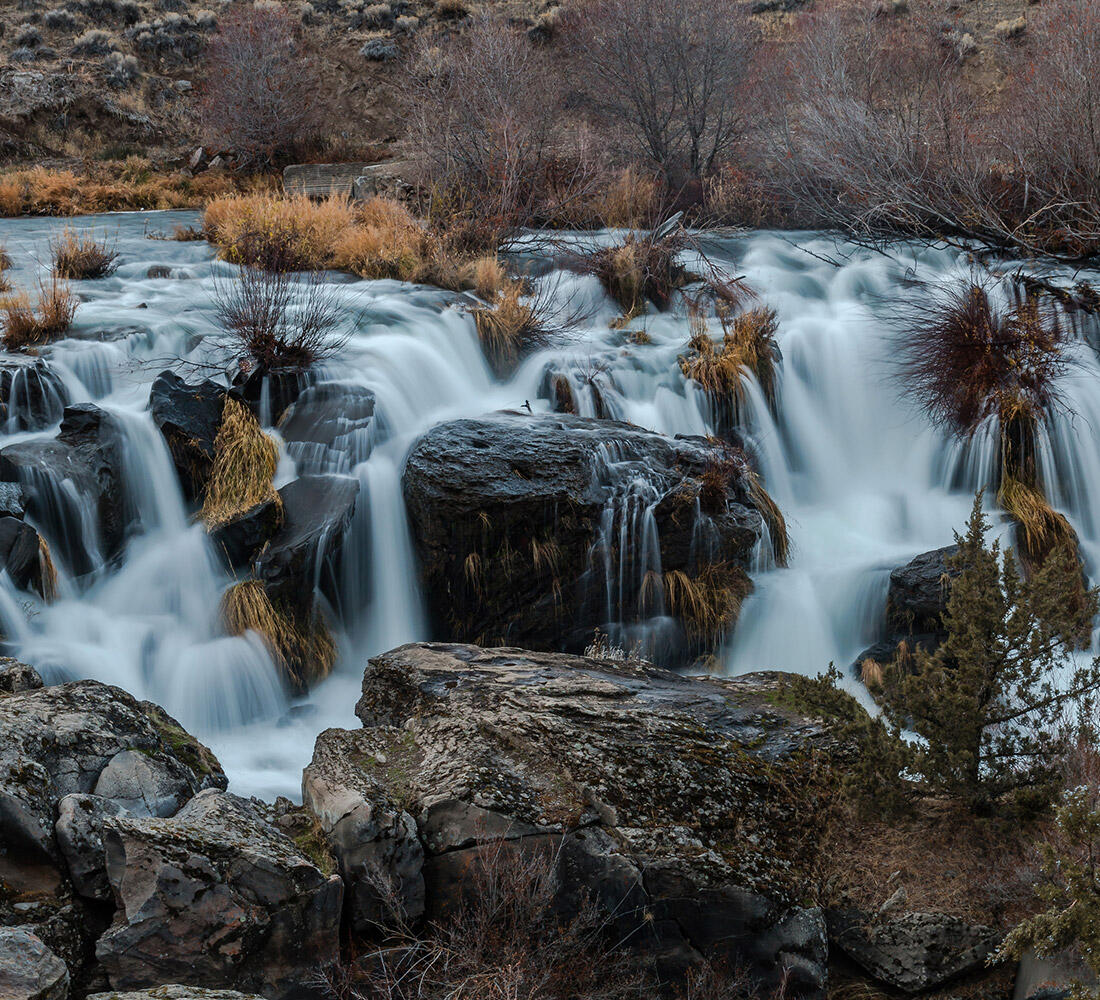North Trailside - Residential