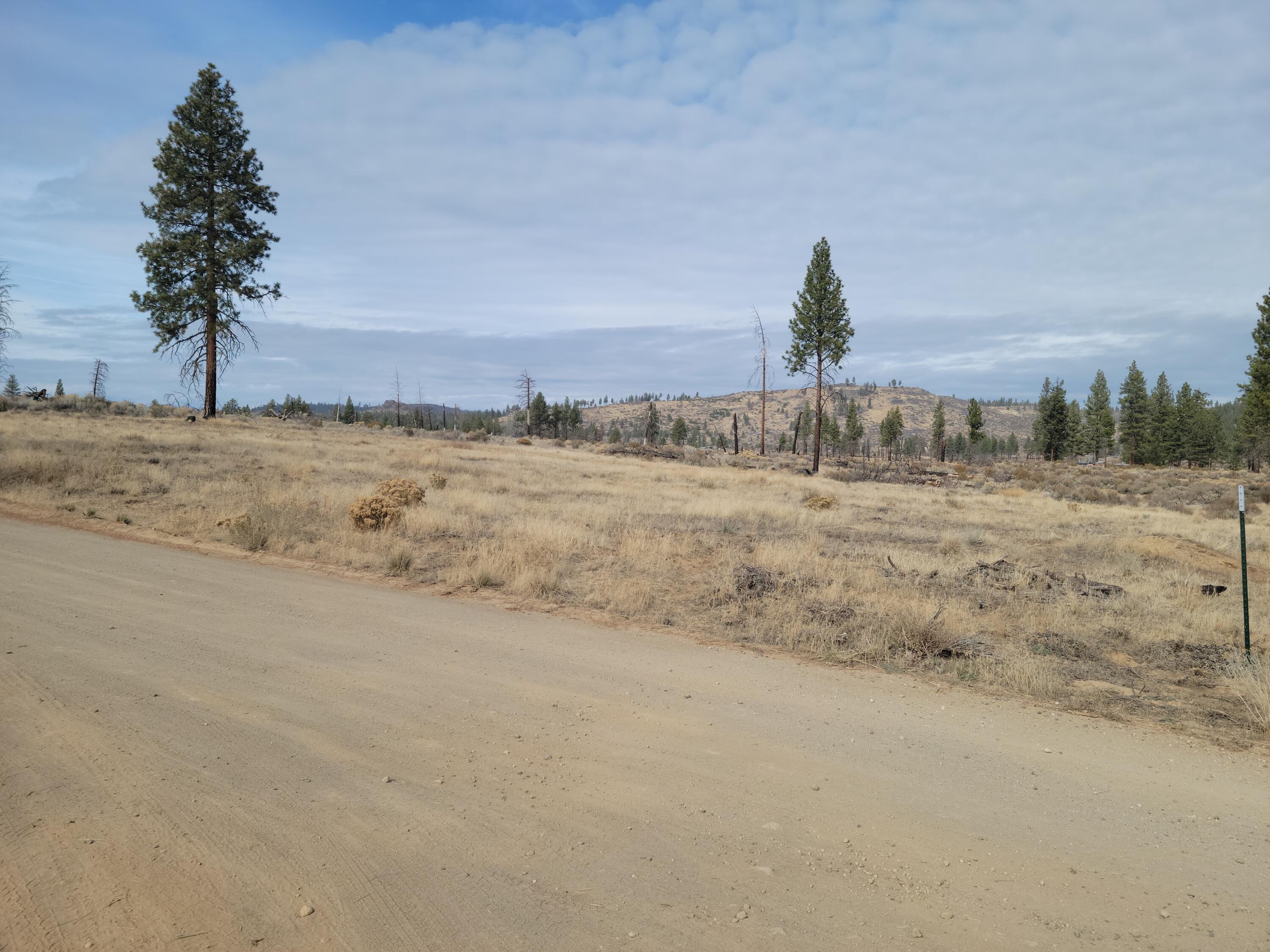Klamath Forest Estates -First Addition - Land
