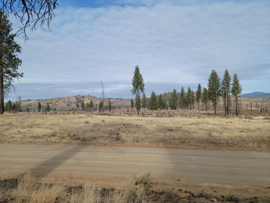 2.42 acres lot in Klamath Forest Estates 1st Addition.  Short drive to the Fremont-Winema National Forest and about one hour from Crater Lake National Park and one hour to Klamath Falls, Oregon.  Electrical power is within 100 feet of property.

Remote and ready to build!!  Buyer to do own Due Diligence.