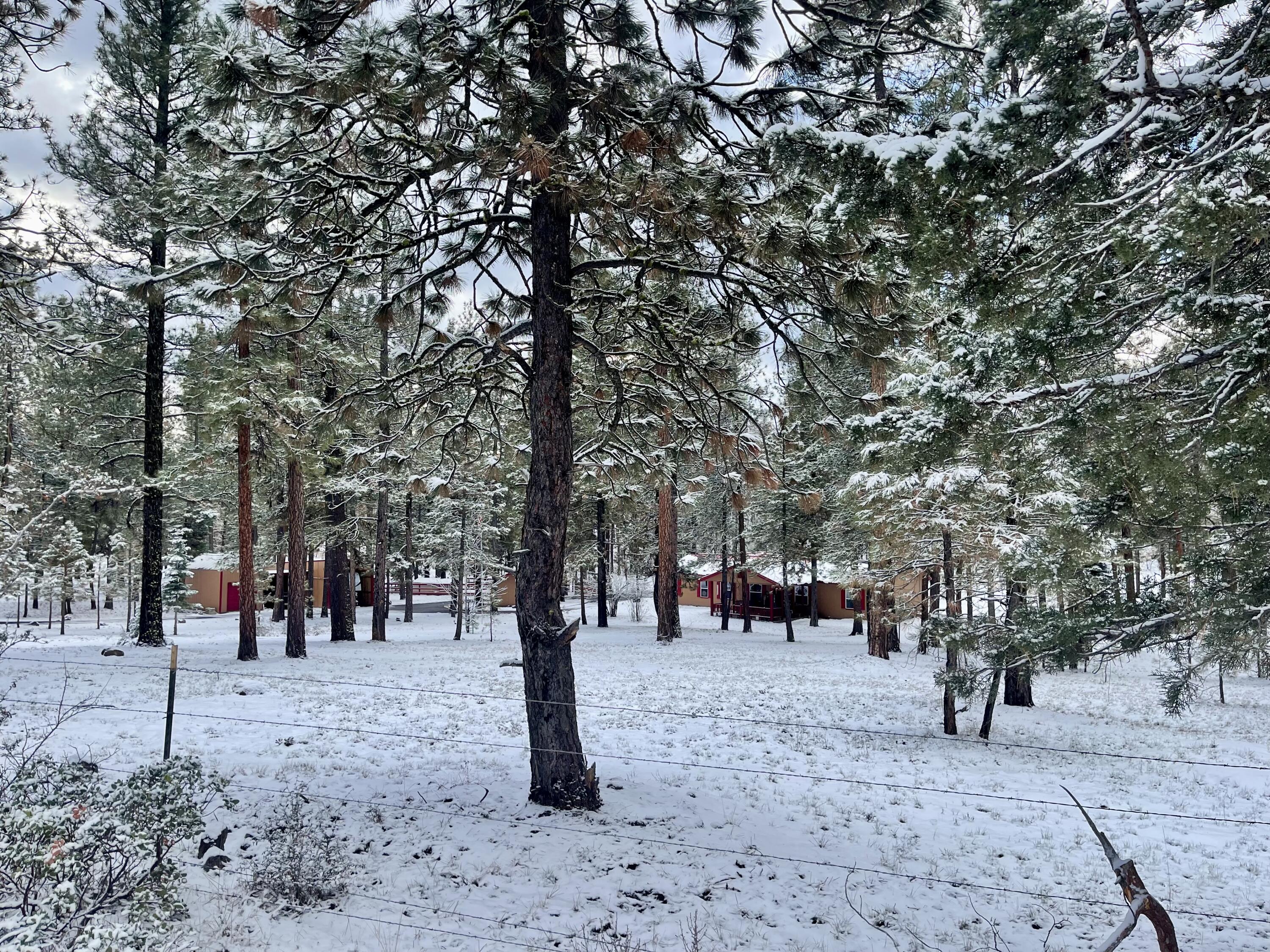 Klamath Forest Estates - Residential