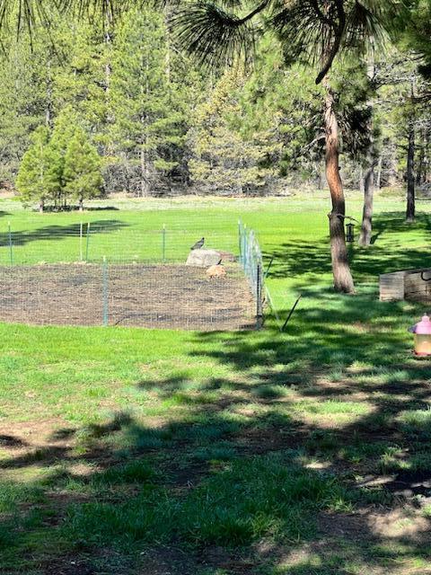 Klamath Forest Estates - Residential