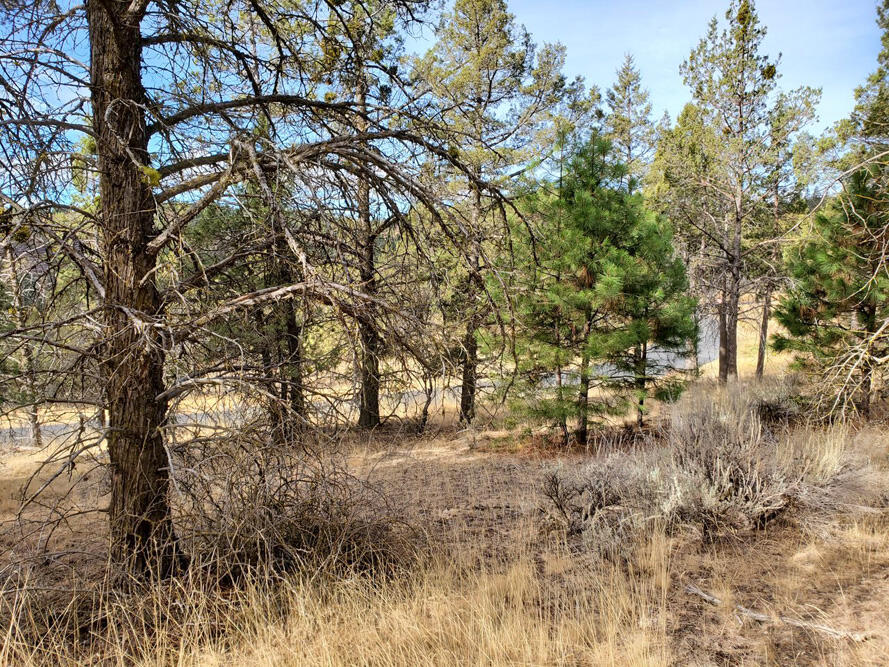 Ridgewater Subdivision -Phase 1 - Land