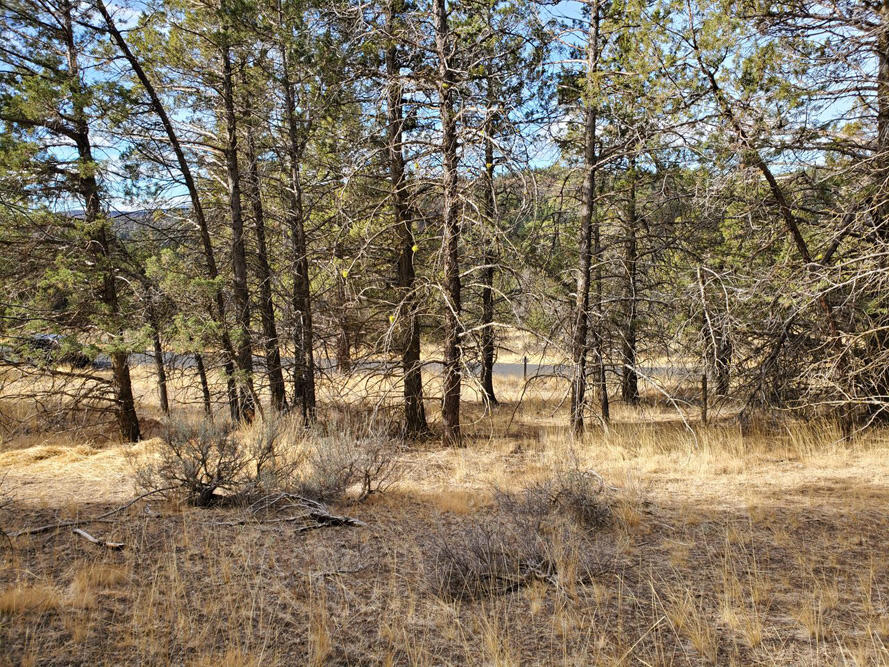 Ridgewater Subdivision -Phase 1 - Land