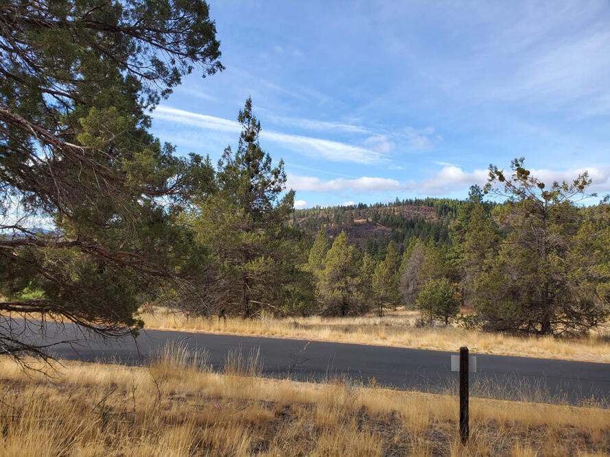 Ridgewater Subdivision -Phase 1 - Land