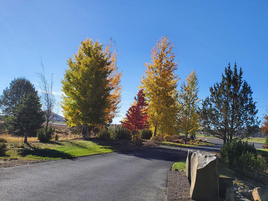 Ridgewater Subdivision -Phase 1 - Land