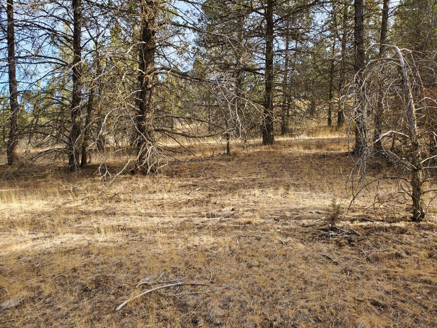 Ridgewater Subdivision -Phase 1 - Land