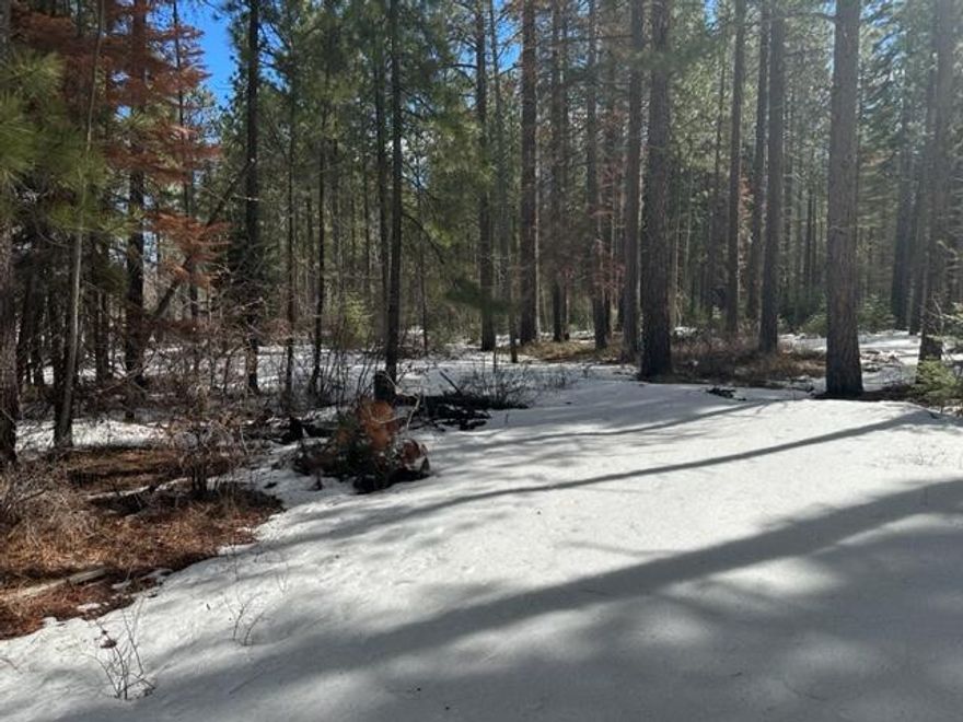 Beautiful home site on N street in the resort area of Rocky Point. Rocky Point has been the site of a lakeside fishing resort of summer-only residents, and now hosts permanent residents as well as many miles of trails. buyer to do their due diligence.
Owner will carry for $3,000 down and $7,000 amortization for 3 years at 8% interest. Monthly payments of $219.35