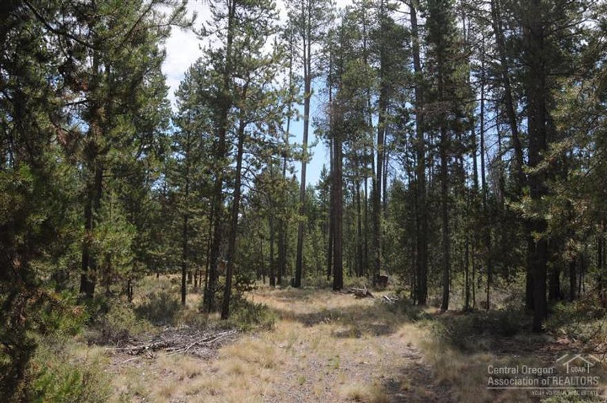 Secluded 4.83 acre parcel in Antelope Meadows partially developed, fully fenced, with small storage building.