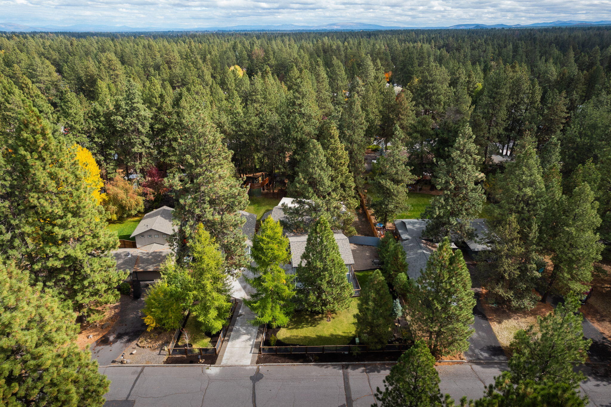 Homestead - Residential