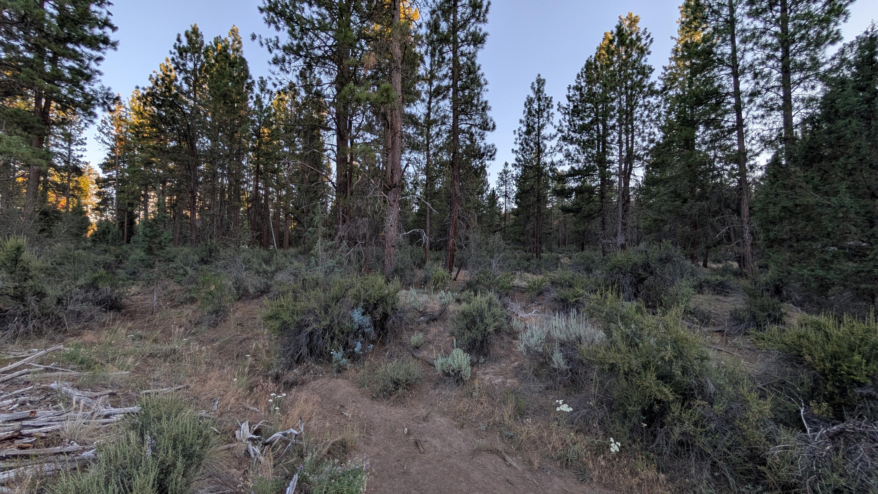 Klamath Falls Forest Estates -Hwy 66 Unit -Plat No. 2 - Land