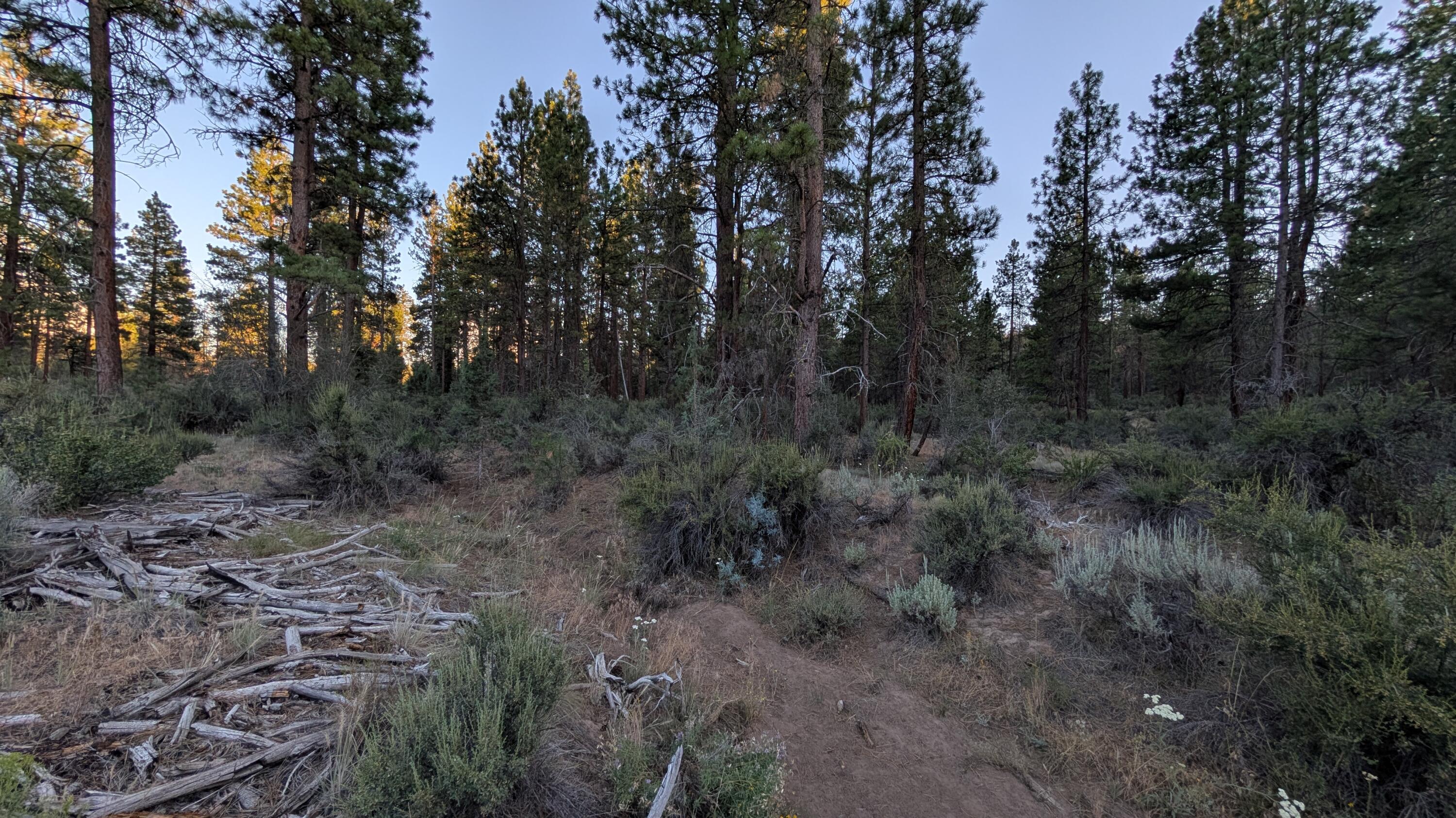 Klamath Falls Forest Estates -Hwy 66 Unit -Plat No. 2 - Land