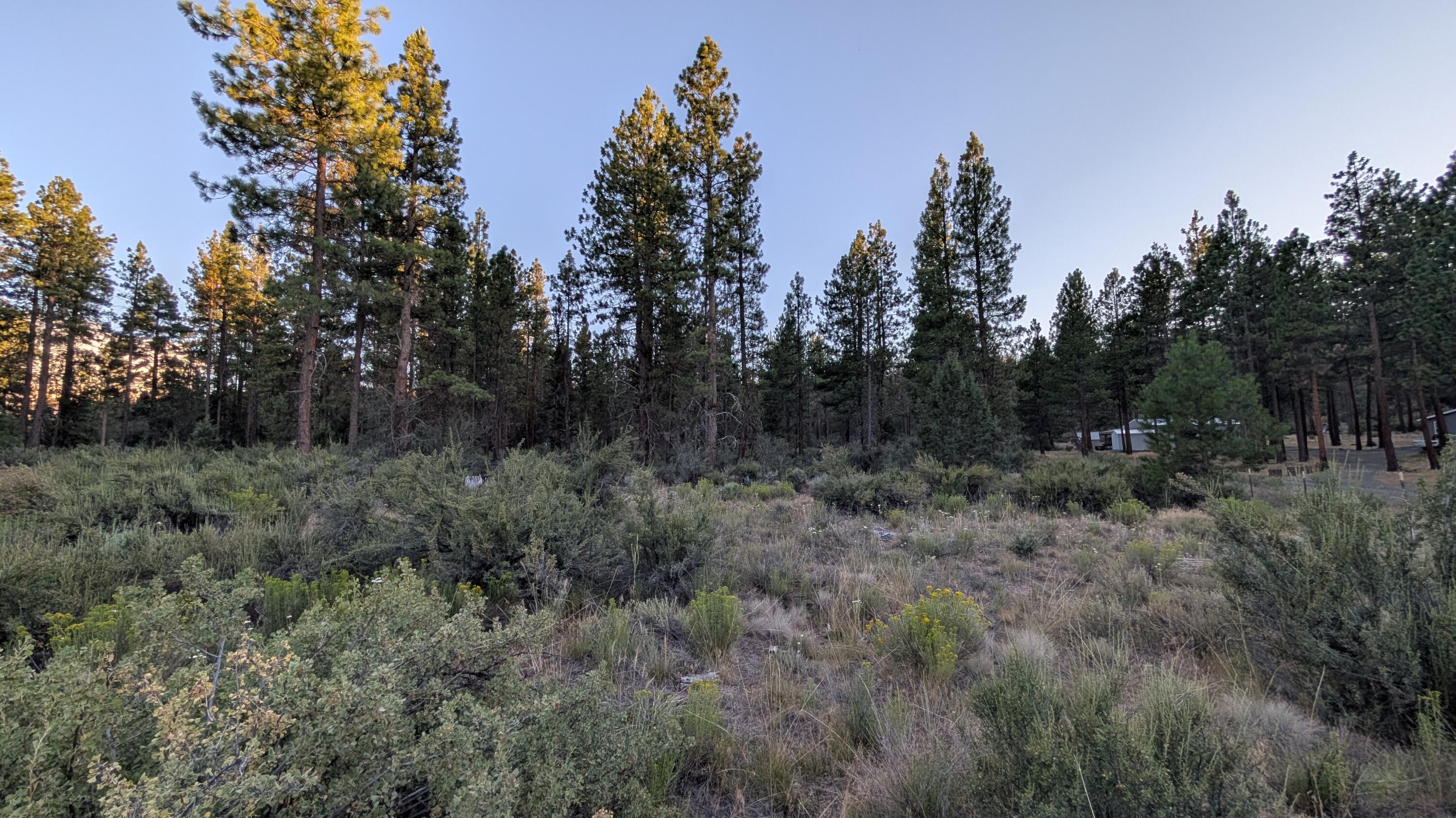 Klamath Falls Forest Estates -Hwy 66 Unit -Plat No. 2 - Land