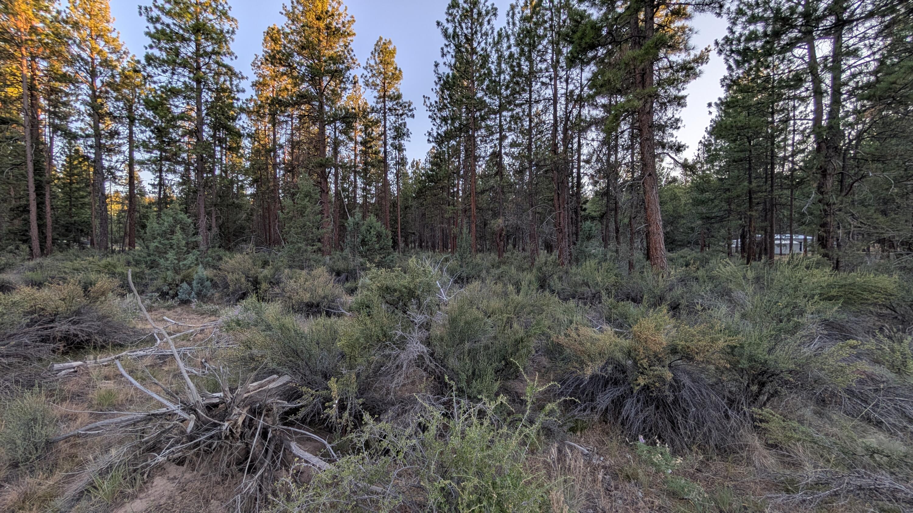 Klamath Falls Forest Estates -Hwy 66 Unit -Plat No. 2 - Land